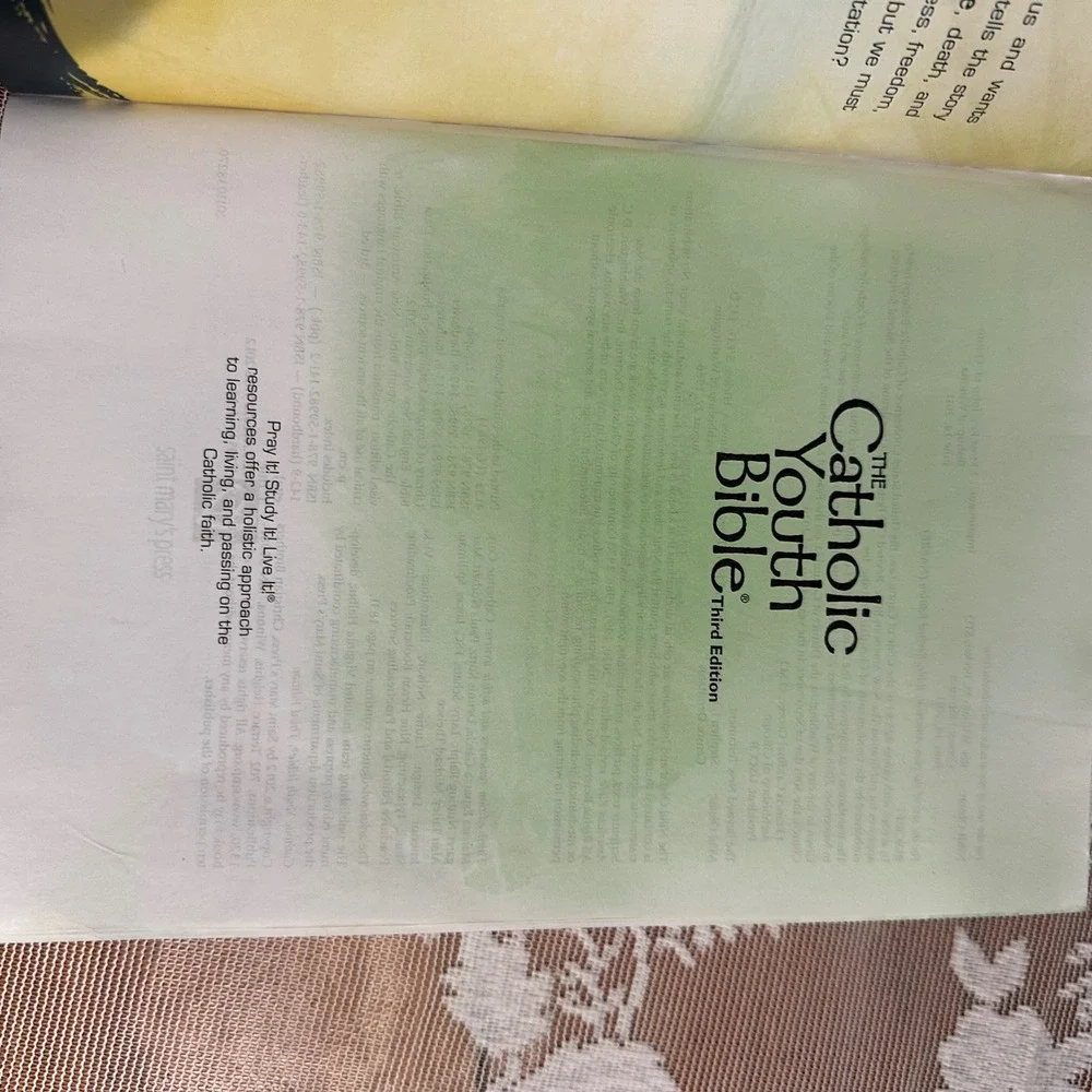 The Catholic Youth Bible Revised Edition New American Bible Saint Marys Press
